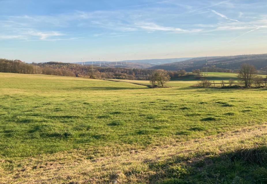 Ferienwohnung Inmitten Der Natur Mit Sauna Steinau an der Straße Exterior foto