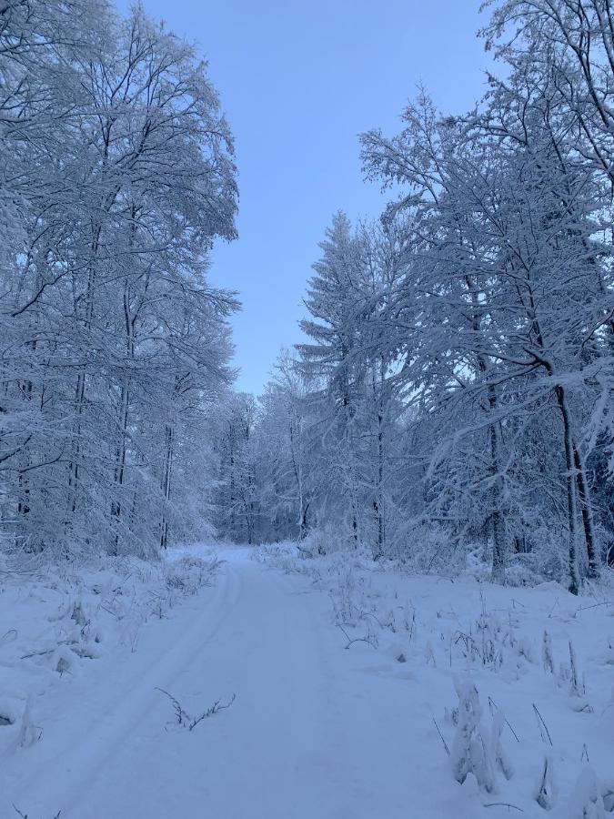 Ferienwohnung Inmitten Der Natur Mit Sauna Steinau an der Straße Exterior foto