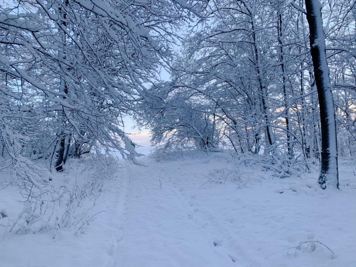 Ferienwohnung Inmitten Der Natur Mit Sauna Steinau an der Straße Exterior foto